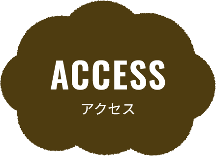 ACCESS